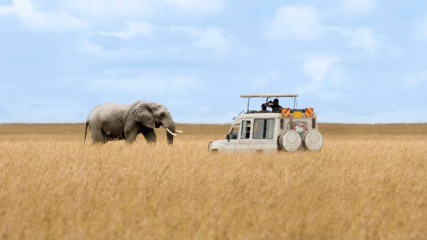 6 day group joining safari from moshi